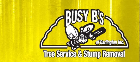 Welcome to Busy B's of Darlington Inc.