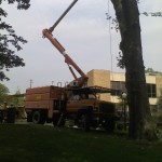 Commercial: Tree removal by crane  at Geneva College, Beaver Falls PA 