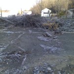 Municipal: Tree Removal in Eastvale Boro, Beaver Falls, PA
