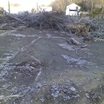 Municipal: Tree removal in Eastvale Boro, Beaver Falls, PA